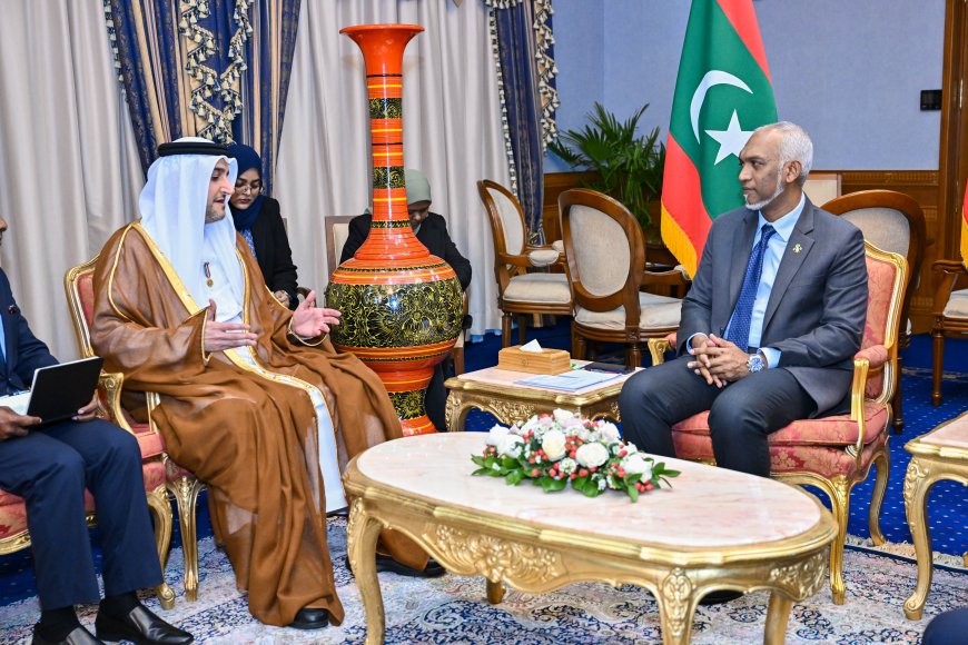 UAE Ambassador to the Maldives Bids Farewell to the President