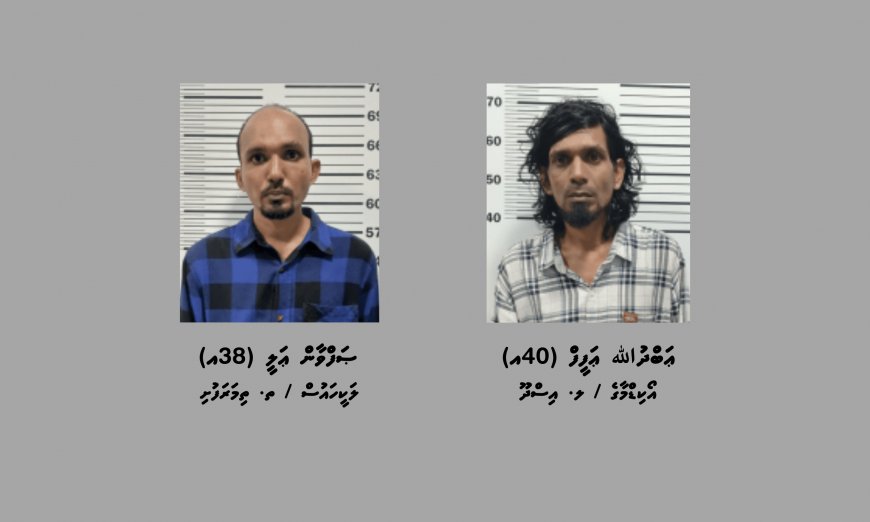 ހުޅުމާލެއިން މަސްތުވާތަކެތީގެ ވިޔަފާރިކުރާކަމަށް ތުހުމަތުކުރެވޭ ދެ މީހަކު ހައްޔަރުކޮށްފި