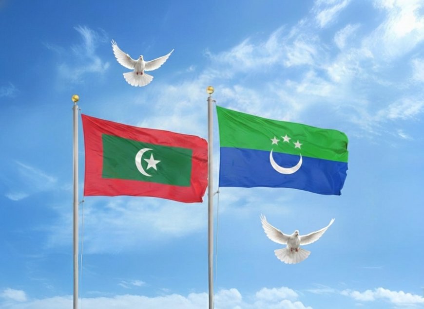 ދެ އިންތިޚާބު 1 ދުވަހެއްގައި ބޭއްވުން: ސިޔާސީ ހަލަބޮލިކަމަށް ނިމުމެއް!