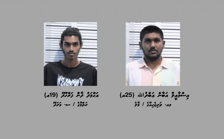 ކަނޑުމަގުން ރާއްޖެއަށް 6 ކިލޯގެ މަސްތުވާތަކެތި އެތެރެކުރި ދެ މީހަކު ހައްޔަރުކޮށްފި