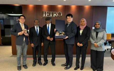 ޖަޕާނު މާކެޓުގައި މިފްކޯގެ ވިޔަފާރި ފުޅާކުރުމަށް މަޝްވަރާކޮށްފި