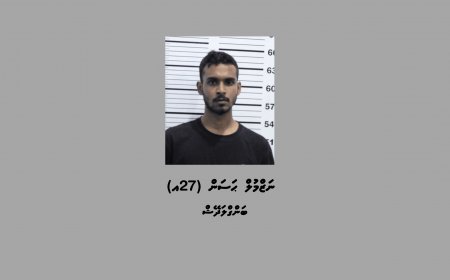 ގިނަ އަދަދެއްގެ ބަނގުރަލާއި ފައިސާ އަތުލައިގަނެ، ބިދޭސީއަކު ހައްޔަރުކޮށްފި