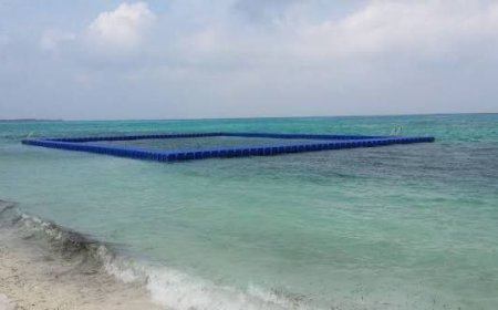 އައްޑޫ ސިޓީ ހިތަދޫ ފަތާ ޓްރެކް ސަރަހައްދު މޫދުގައި މަރުވެފައި އޮތް މީހަކު ފެނިއްޖެ