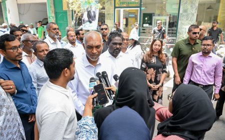 އަމިއްލަ ގޮތުން ވާދަކުރައްވާ އިބްރާހީމް އަބޫބަކުރުގެ ތާއީދު، ޕީއެންސީގެ ކެންޑިޑޭޓް ޢަރީޝްއަށް!