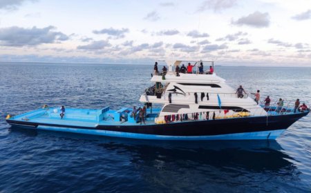 މަސްވެރިންނަށް ވިއްކާ ތެލުގެ އަގު މިފްކޯއިން ހެޔޮކޮށްފި