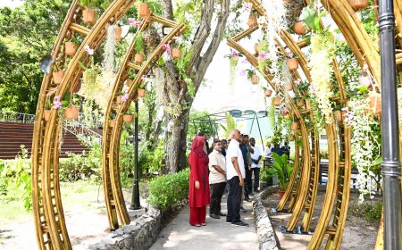 ސަލްޓަން ޕާކު ތަރައްޤީކުރުމަށް އެމް.އެން.ޑީ.އެފް އިން ކުރަމުންދާ މަސައްކަތްތައް ރައީސް ބައްލަވާލައްވައިފި