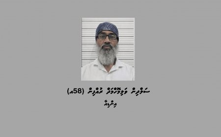 އައްޑޫސިޓީއަށް ވައިގެ މަގުން ދެކިލޯގެ މަސްތުވާތަކެތި އެތެރެކުރި މީހަކު ހައްޔަރުކޮށްފި