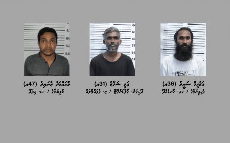 ސްކޭމްކޮށްގެން މަކަރާއި ހީލަތުން ފައިސާ ހޯދި މައްސަލަތަކެއްގައި ތިން މީހަކު ހައްޔަރުކޮށްފި