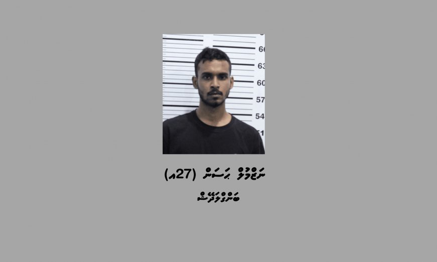 ގިނަ އަދަދެއްގެ ބަނގުރަލާއި ފައިސާ އަތުލައިގަނެ، ބިދޭސީއަކު ހައްޔަރުކޮށްފި