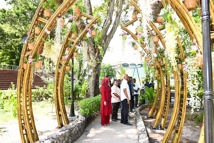 ސަލްޓަން ޕާކު ތަރައްޤީކުރުމަށް އެމް.އެން.ޑީ.އެފް އިން ކުރަމުންދާ މަސައްކަތްތައް ރައީސް ބައްލަވާލައްވައިފި