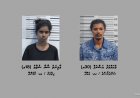 ގދ. ވާދޫން މަސްތުވާތަކެތީގެ މައްސަލައެއްގައި ދެ މީހަކު ހައްޔަރުކޮށްފި