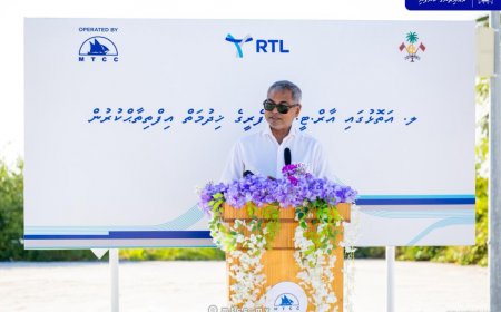 ސޯލާ ފެރީ ގެނެސް ޓެސްޓު ދަތުރުތައް ވަރަށް އަވަހަށް ފަށަނީ
