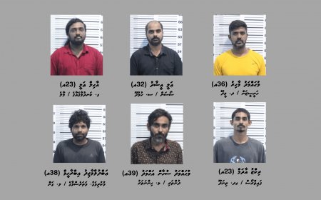 ގިނަ އަދަދެއްގެ މަސްތުވާތަކާއްޗާއެކު މާލެއިން ހަމީހަކު ހައްޔަރުކޮށްފި
