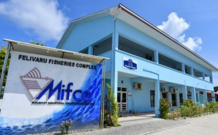 މިފްކޯއަށް މަސްކިރުވި 20 ދޯންޏަކަށް ދެލައްކައަށްވުރެ ގިނަ ރުފިޔާ ދޫކޮށްފި