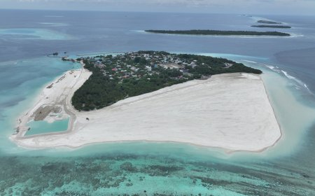 ތ. ވޭމަންޑޫގެ ބިން ހިއްކުމުގެ ބިޔަ މަޝްރޫޢު ކާމިޔާބުކަމާއެކު ނިންމާލައިފި