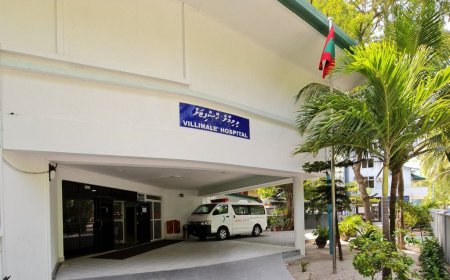 ވިލިމާލެ ފަޅުތެރެއަށް ފީނަން ގޮސް އުޅުނު ބިދޭސީއަކު މަރުވެއްޖެ