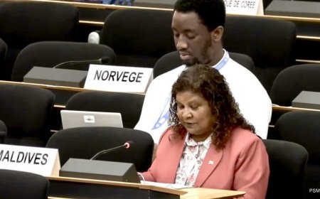 ޖެނީވާގައި ރާއްޖެ ތަމްސީލްކުރާ ސަލްމާގެ މަގާމު އިއާދަކޮށްފި