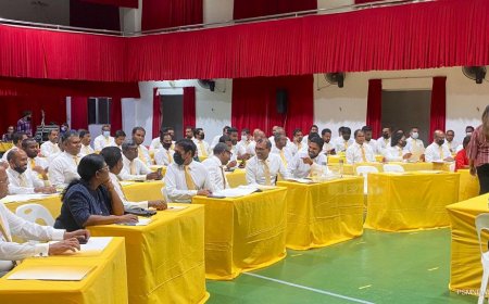 ގަޕޯ މަގާމުން ވަކިކުރަން 55 މެމްބަރުންގެ ސޮޔާއެކު ޕެޓިޝަނެއް ހުށަހަޅައިފި