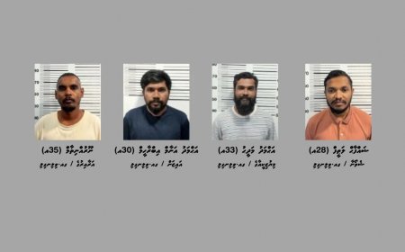 އޮޕަރޭޝަން އަލިމަގު: ހައްޔަރުކުރި 4 މީހެއްގެ މައްޗަށް ދައުވާކުރަން ޕީޖީއަށް ފޮނުވައިފި