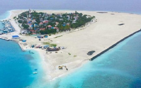 ޝަކުވާއަކާ ގުޅިގެން ދ. މީދޫގެ ވޯޓު ފޮއްޓެއް އަލުން ގުނުމަށް އިލެކްޝަންސް ކޮމިޝަނުން ނިންމައިފި