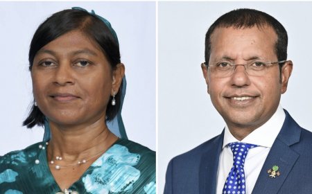 ދެ ޤައުމަކަށް ކަނޑައަޅުއްވާ ނޮން-ރެސިޑެންޓް ސަފީރުންނަށް މަޖިލީހުން ރުހުން ދީފި