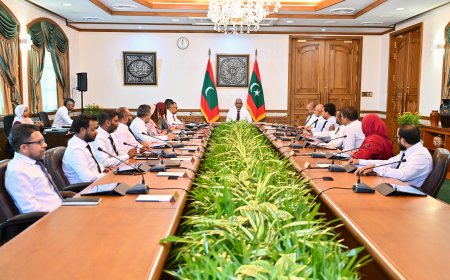 މެދުއިރުމަތީގެ ހަމަނުޖެހުންތަކާ ގުޅިގެން، ރައީސް އުފެއްދެވި ވަޒީރުންގެ ޚާއްޞަ ކޮމެޓީއަށް ބަދަލުގެންނަވައިފި