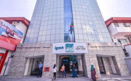 ވިއްސާރައާއި ގުޅިގެން  ޑެންގީ އިތުރުވާތީ އެޗްޕީއޭއިން ސަމާލުވާން އިލްތިމާސްކޮށްފި