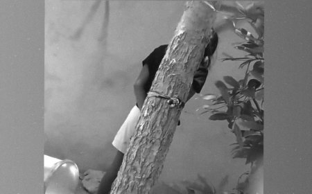 އުތުރުގެ ރަށެއްގައި ކުޑަ އަންހެން ކުއްޖަކު ގަހެއްގައި ބަނދެފައި ބެހެއްޓި މައްސަލައެއް ފުލުހުން ބަލަން ފަށައިފި