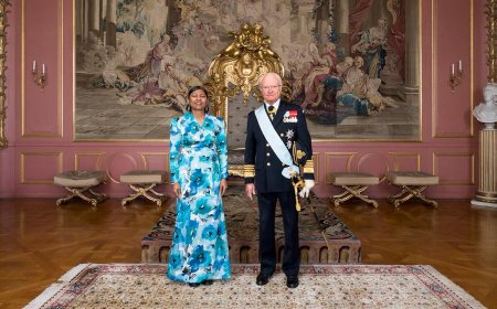 ސްވިޑަންގެ ރަސްގެފާނަށް ރާއްޖޭގެ ސަފީރު ފަތްކޮޅު އަރުވައިފި