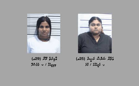 ވައިގެމަގުން ރާއްޖެއަށް މަސްތުވާތަކެތި އެތެރެކުރިކަމުގެ ތުހުމަތުގައި 2 އަންހެނަކު ހައްޔަރުކޮށްފި