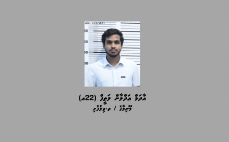 ކުޑަކުދިންނަށް ޖިންސީ ގޯނާކުރާ މަންޒަރު ދައްކުވައިދޭ ތަކެތި ކްރިޕްޓޯ މެދުވެރިކޮށް ވިއްކި ދިވެއްސަކު ހައްޔަރުކޮށްފި