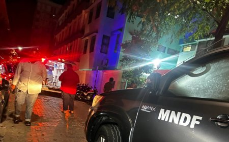 ދަނާލުގައި އަންހެން ކުއްޖަކު މަރުވެއްޖެ