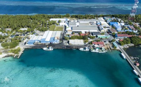 ލ. ހިތަދޫގައި މަސް ހިފަން އުޅުނު ޒުވާނަކު ގެނބިގެން ނިޔާވެއްޖެ