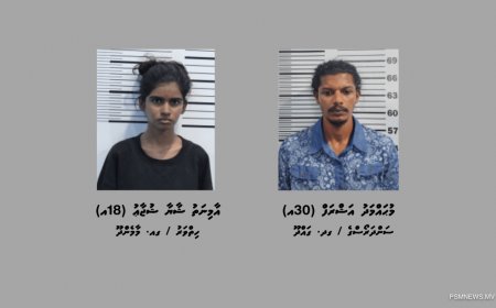 ގދ. ވާދޫން މަސްތުވާތަކެތީގެ މައްސަލައެއްގައި ދެ މީހަކު ހައްޔަރުކޮށްފި