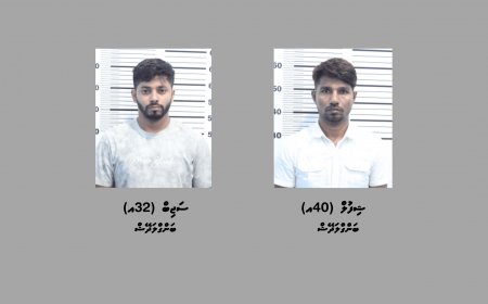 ވައިގެމަގުން ރާއްޖެއަށް މަސްތުވާތަކެތި އެތެރެކުރި ދެ ބިދޭސީއަކު ހައްޔަރުކޮށްފި