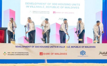 ގަސްތައް ނުކަނޑައި ފްލެޓް ޓަވަރު އެހެން ސަރަޙައްދަކަށް