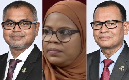 އެމްބެސެޑާ އެޓް ލާޖުގެ މަގާމަށް ތިން ބޭފުޅަކު އައްޔަނު ކޮށްފި