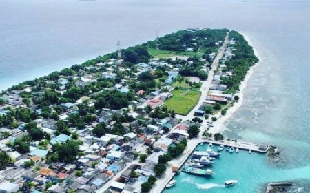 ރަސްގެތީމުގައި ޚަބަރެއް ނުވެގެން ހޯދަމުންދިޔަ މީހަކު މަރުވެފައި އޮއްވާ ފެނިއްޖެ