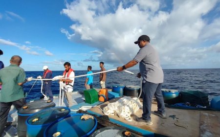 އަންނަ ހަފްތާގައި އިތުރު 5 ކަނދުފަތި އަޅަނީ