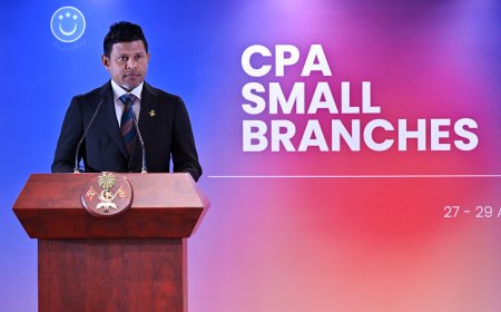 Vice President highlights need for strong, independent parliaments