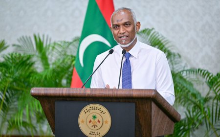 އެކާވީސް ދުވަހުގެ ތެރޭގައި ޖުމުލަ 924 މިލިޔަން ޑޮލަރުގެ ދަރަނި ދައްކާފައިވޭ: ރައީސް