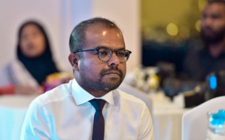 އަދަދު ނޫހުގެ ސީއީއޯ ފިޔާޒުގެ ޕާސްޕޯޓު ހިފަހައްޓައިފި