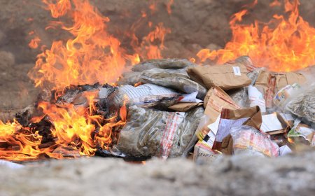 ފުލުހުންގެ ބެލުމުގެދަށުގައި ހުރި 185 ކިލޯއަށްވުރެ ގިނަ މަސްތުވާތަކެތި ނައްތާލައިފި