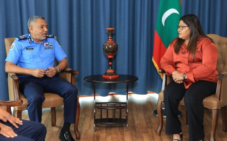 ނަފްސާނީ ދުޅަހެޔޮކަމާ ގުޅޭގޮތުން ކުރެވޭ މަސައްކަތްތައް ހަރުދަނާކުރުމަށް މަޝްވަރާކޮށްފި