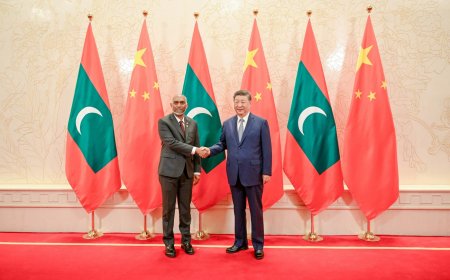 ޗައިނާއިން ރާއްޖެއަށް ތެޔޮ ގަންނަން ފަށަނީ