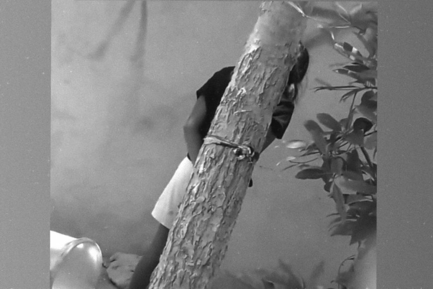 އުތުރުގެ ރަށެއްގައި ކުޑަ އަންހެން ކުއްޖަކު ގަހެއްގައި ބަނދެފައި ބެހެއްޓި މައްސަލައެއް ފުލުހުން ބަލަން ފަށައިފި