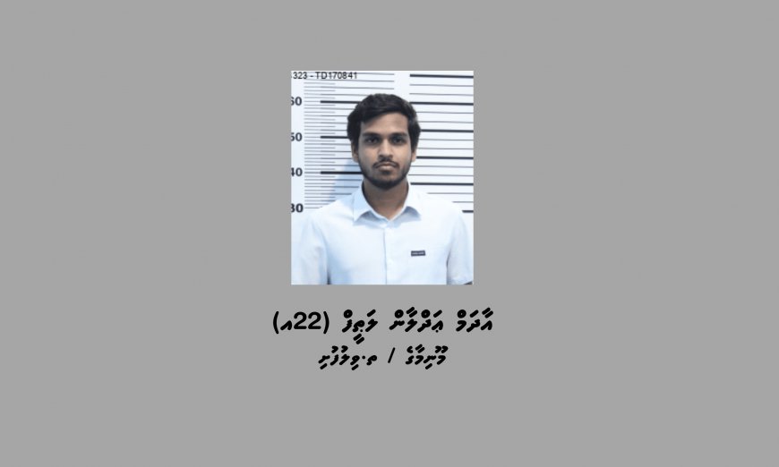 ކުޑަކުދިންނަށް ޖިންސީ ގޯނާކުރާ މަންޒަރު ދައްކުވައިދޭ ތަކެތި ކްރިޕްޓޯ މެދުވެރިކޮށް ވިއްކި ދިވެއްސަކު ހައްޔަރުކޮށްފި