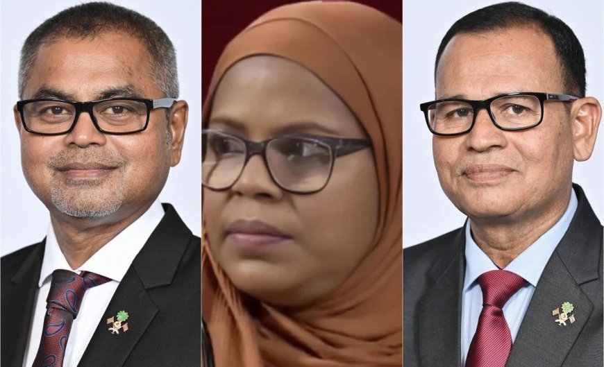 އެމްބެސެޑާ އެޓް ލާޖުގެ މަގާމަށް ތިން ބޭފުޅަކު އައްޔަނު ކޮށްފި