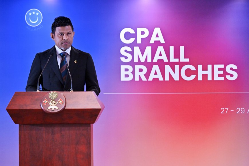 Vice President highlights need for strong, independent parliaments