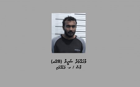 މާފުށީ ޖަލަށް ގިނަ އަދަދެއްގެ ފޯނާއި މަސްތުވާތަކެތި އެތެރެކުރަން އުޅުނު މީހަކު ހައްޔަރުކޮށްފި
